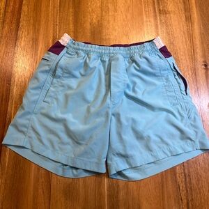 Birddogs Shorts Mens M Teal Lined Bathing suit Athletic Swim Hybrid Beach Gorp
